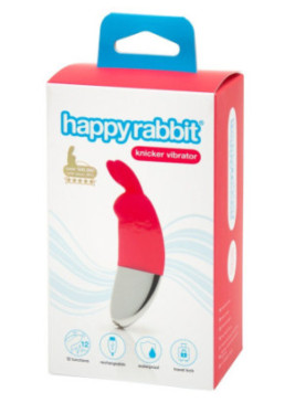 knicker vibrator
